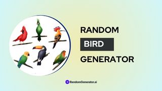 random-birds-generator