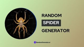 random-spider-generator